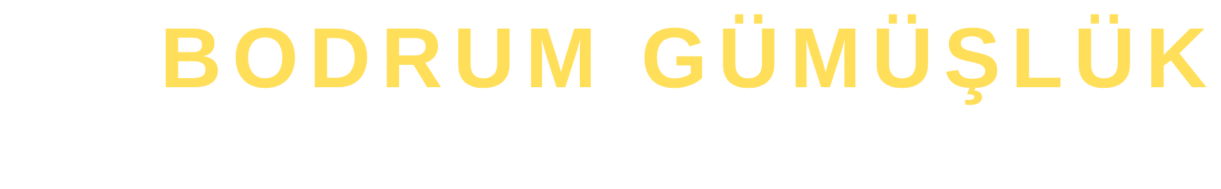 Bodrum Transfer Logo