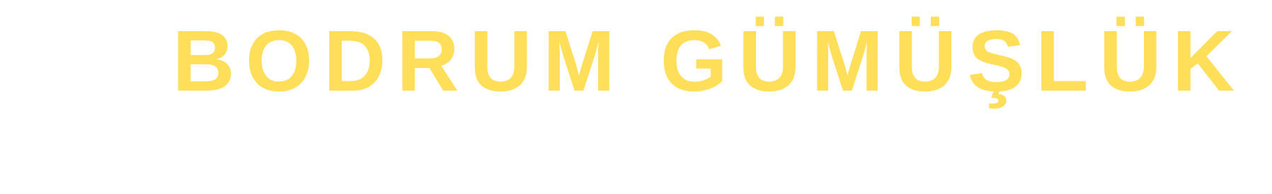 Footer Logo